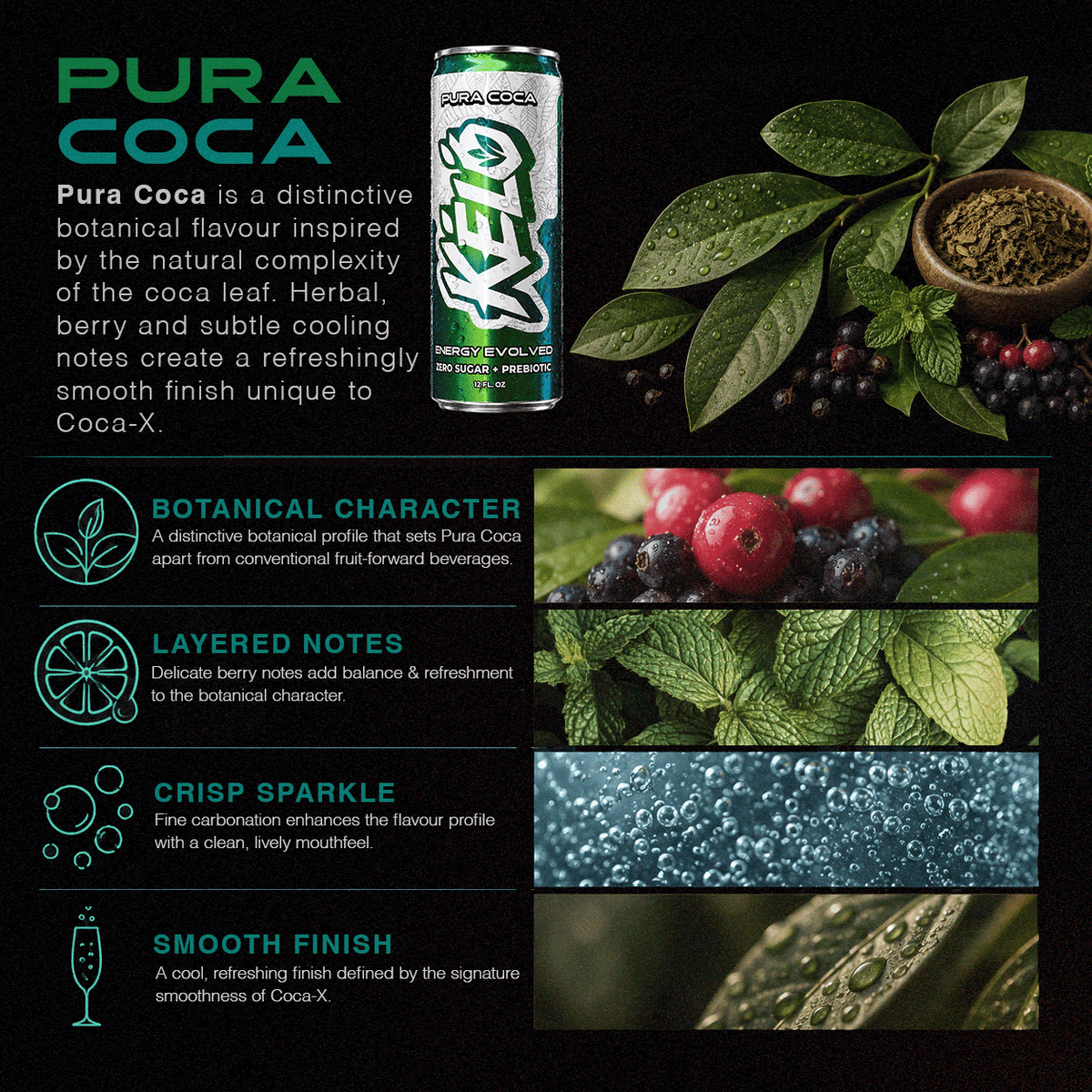 Pura Coca 355ml