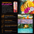 Tropical Punch 355ml