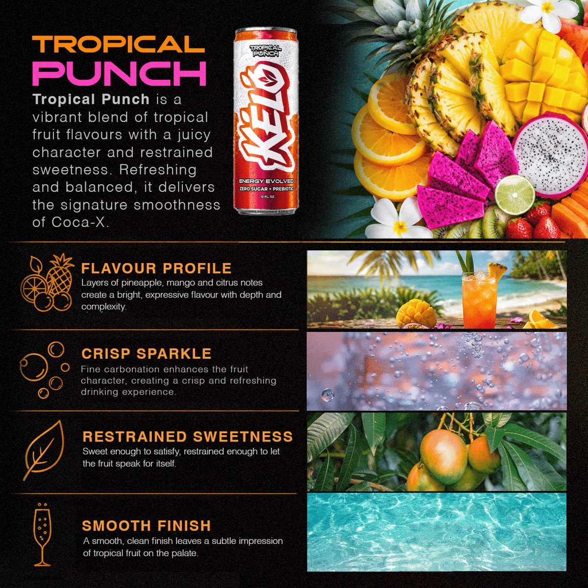 Tropical Punch 355ml
